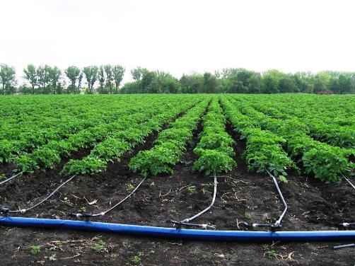 Строительство и ремонт квартир, домов, советы | Строительство и ремонт квартир, домов, советы - Капельный полив и системы орошения своими руками