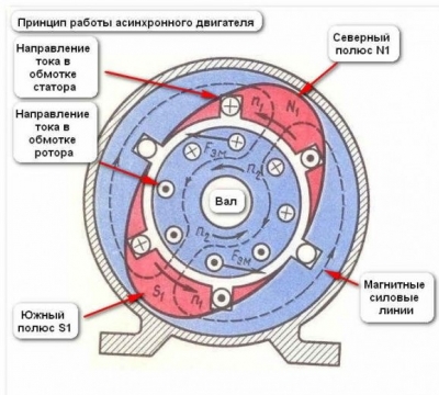 Строительство и ремонт квартир, домов, советы | Строительство и ремонт квартир, домов, советы - Однофазный электродвигатель 220в. Схема, подключение, преимущества Строительство и ремонт квартир, домов, советы | Строительство и ремонт квартир, домов, советы - Однофазный электродвигатель 220в. Схема, подключение, преимущества