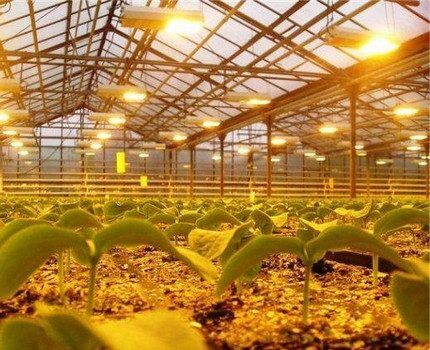 Строительство и ремонт квартир, домов, советы | Строительство и ремонт квартир, домов, советы - Натриевые лампы: разновидности, технические параметры, сфера применения + правила выбора Строительство и ремонт квартир, домов, советы | Строительство и ремонт квартир, домов, советы - Натриевые лампы: разновидности, технические параметры, сфера применения + правила выбора