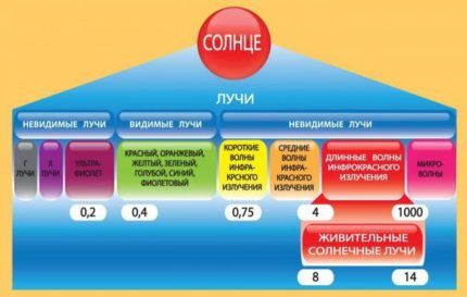Строительство и ремонт квартир, домов, советы | Строительство и ремонт квартир, домов, советы - Инфракрасное отопление частного дома: обзор современных инфракрасных систем отопления