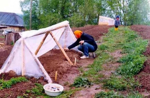Строительство и ремонт квартир, домов, советы | Строительство и ремонт квартир, домов, советы - Как сделать парник: 8 конструкций и море идей