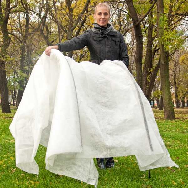 Строительство и ремонт квартир, домов, советы | Строительство и ремонт квартир, домов, советы - Как сделать парник: 8 конструкций и море идей